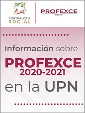 Profexe Final
